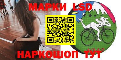 стаф Бийск