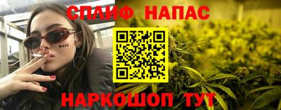 СК Беслан