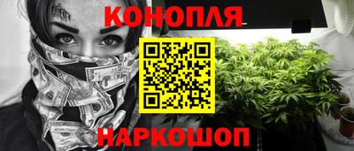 стаф Бийск