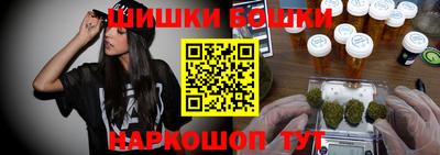стаф Бийск