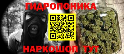 стаф Бийск