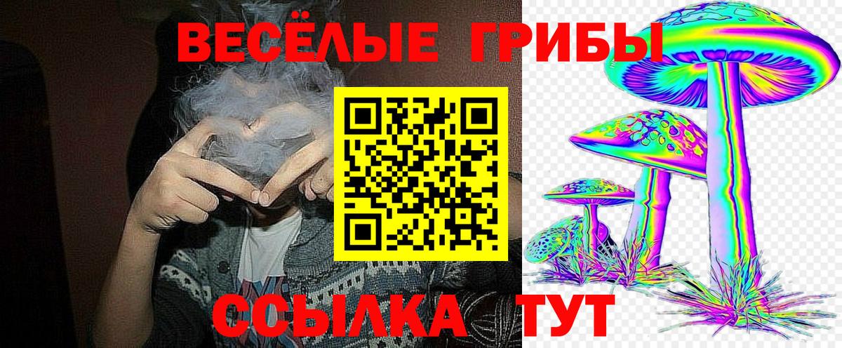 Галлюциногенные грибы Cubensis  Вход с VPN  Брянск 